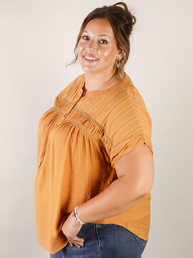 Curvy Dusty Apricot Short Sleeve Blouse
