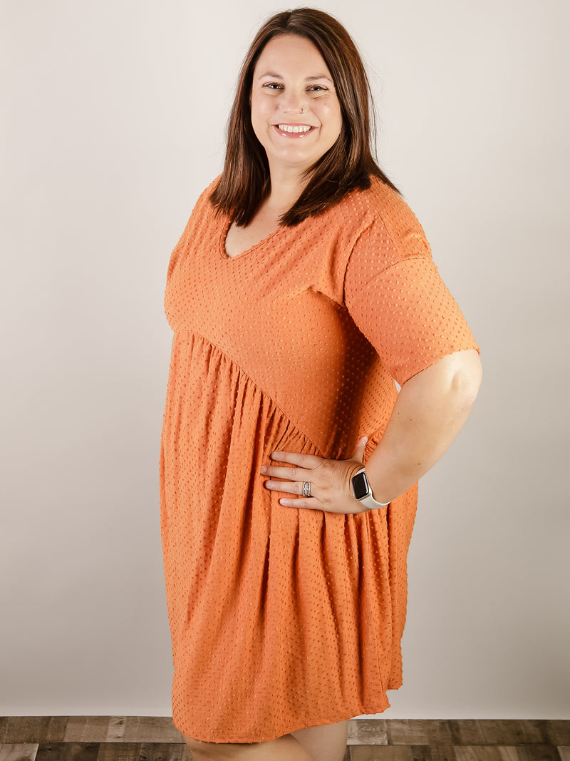 Pumpkin Swiss Dot Short Sleeve Dress