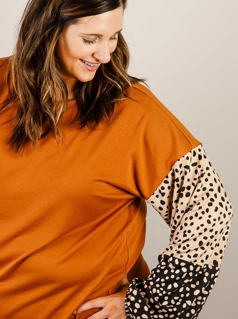 Curvy Camel Knit Top with Animal Print Sleeve