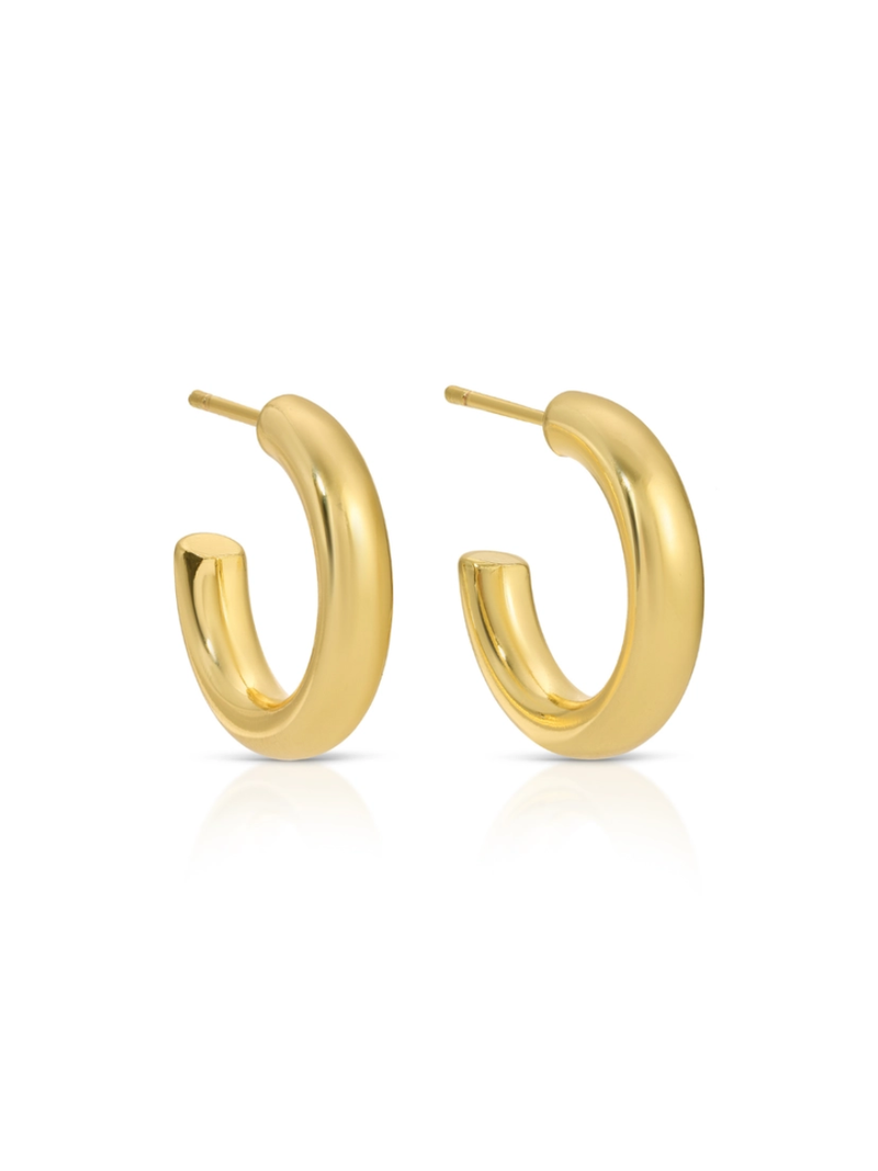 The Perfect Hoop Earrings