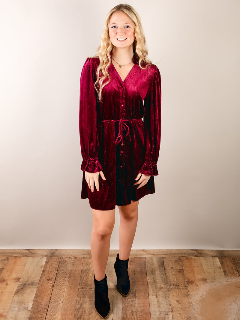 Wine Velvet Shirt Dress