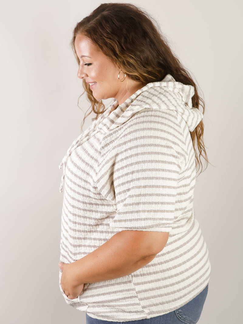 Curvy Cream and Taupe Short Sleeve Hooded Top