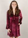 Mulberry Split V-Neck Velvet Dress