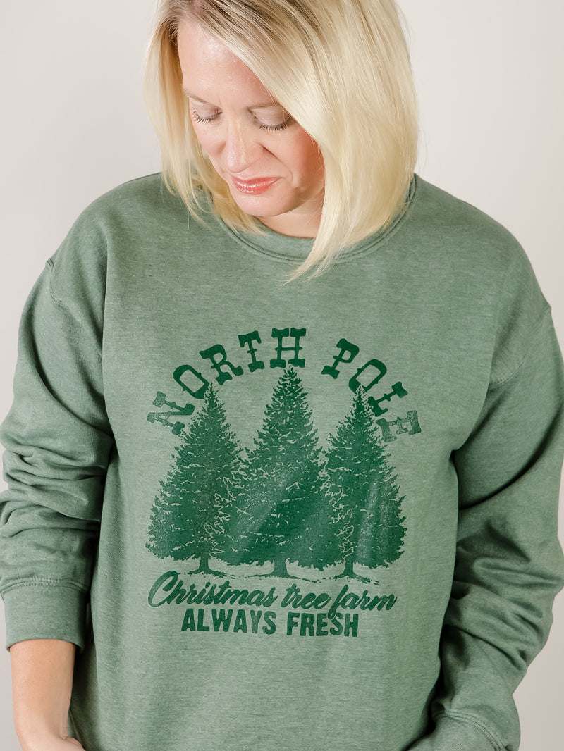 Green North Pole Graphic Sweatshirt